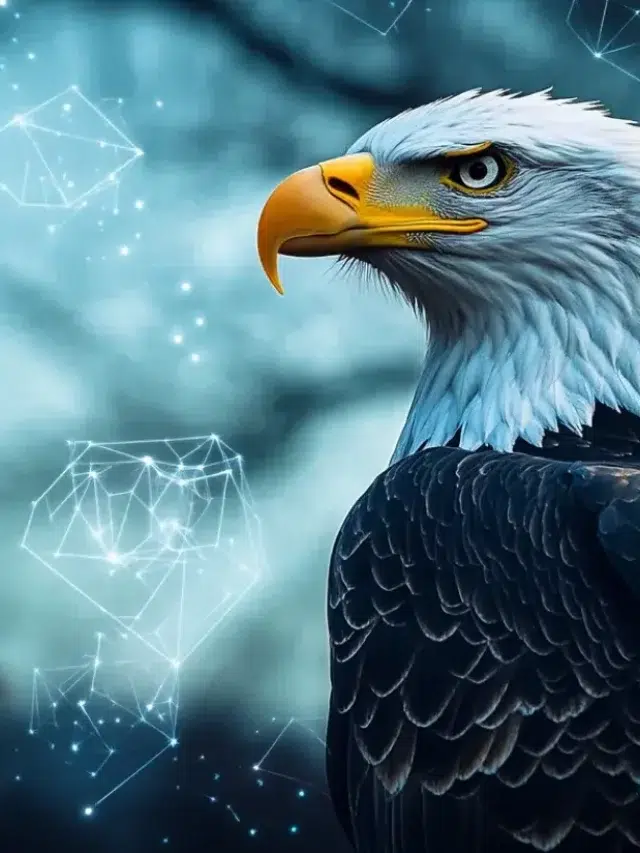SEC lays out disclosure rules for crypto ETFs as it eyes clearer listing path